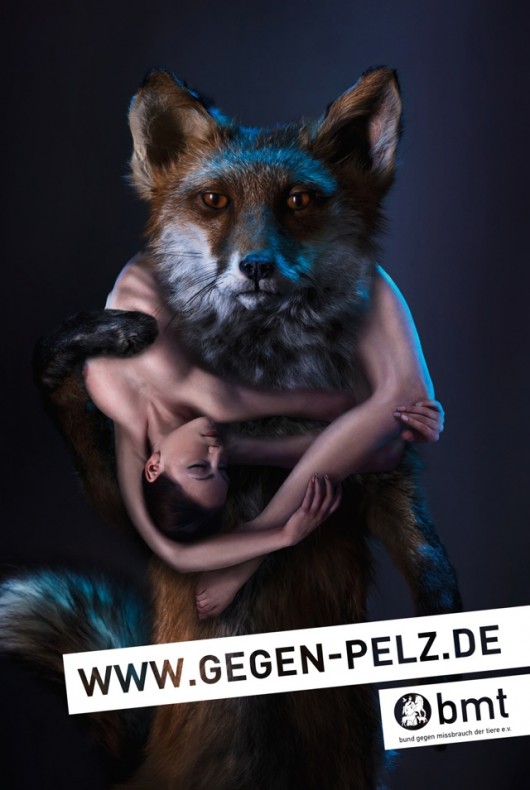 bmt Bund Gegen Missbrauch der Tiere e.v-NEAPARAT.ro
