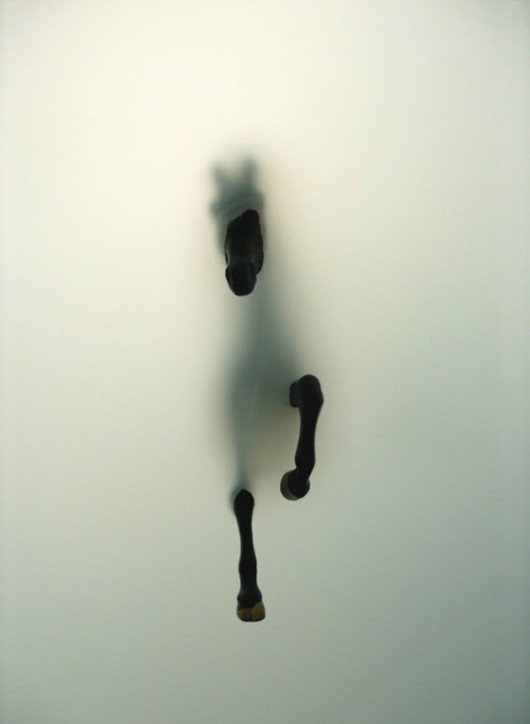 Miriam Sweeney -NEAPARAT.ro