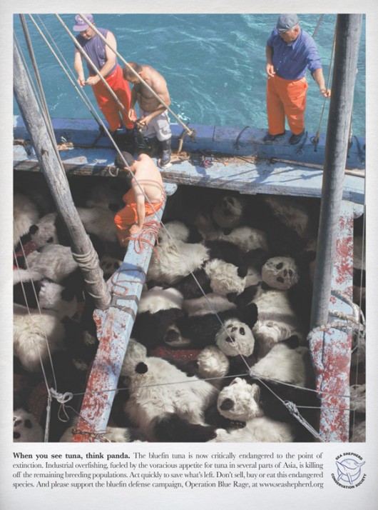 When You See A Tuna, Think Panda2-NEAPARAT.ro