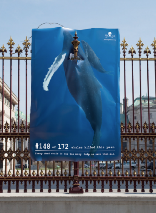 whale street art -NEAPARAT.ro