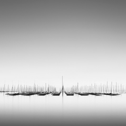 Michael Levin -NEAPARAT.ro