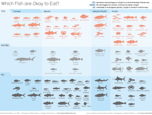 whichfishareokaytoeat -NEAPARAT.ro
