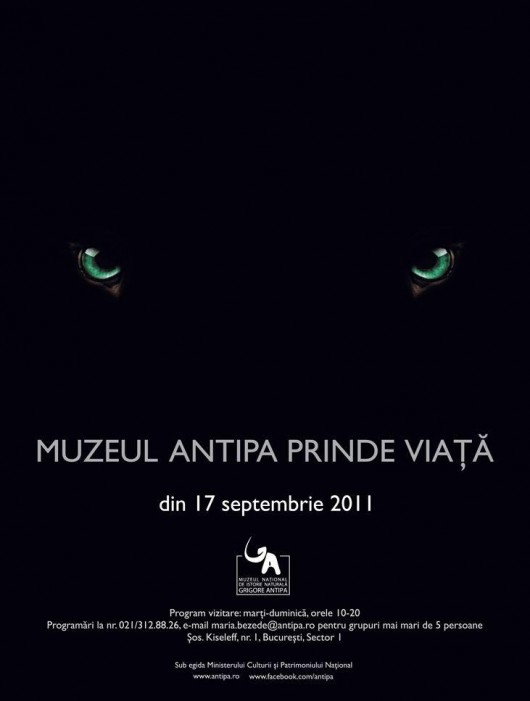 antipa -NEAPARAT.ro