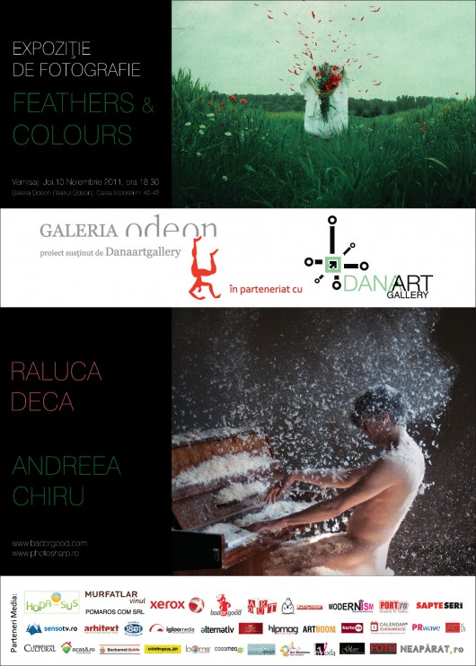Feathers and Colours -NEAPARAT.ro