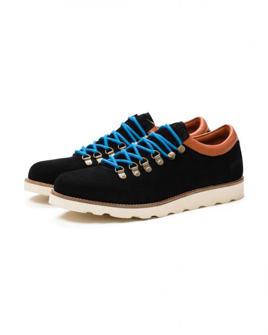 Pointer Tenzing II