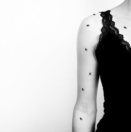 Benoit Courti