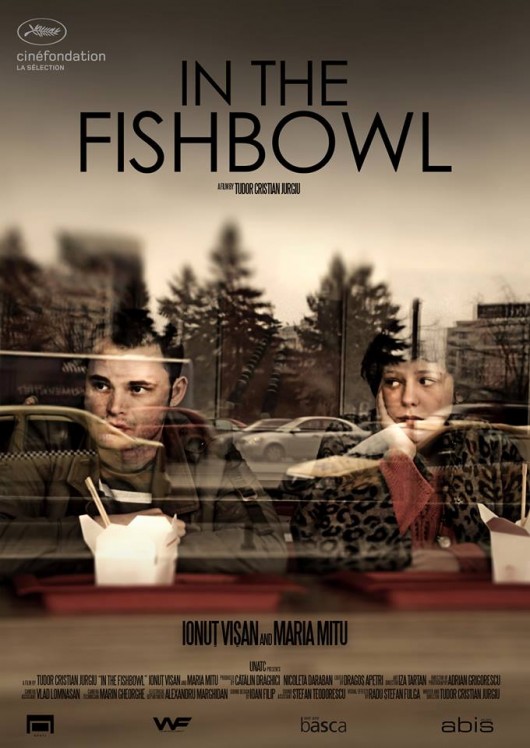 in the fishbowl