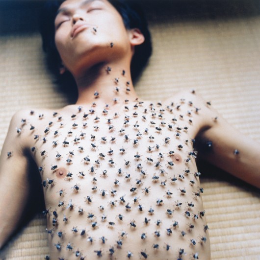 Rinko Kawauchi