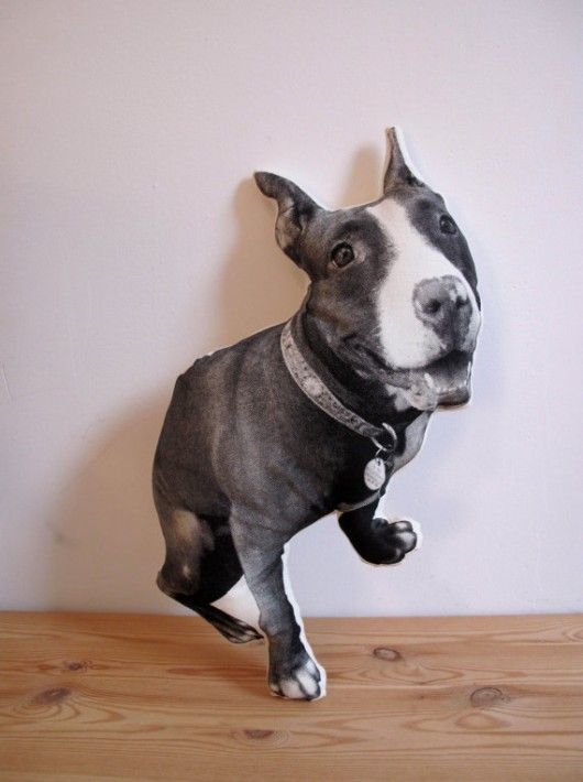 pet2