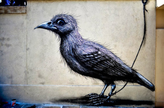 ROA in Italia