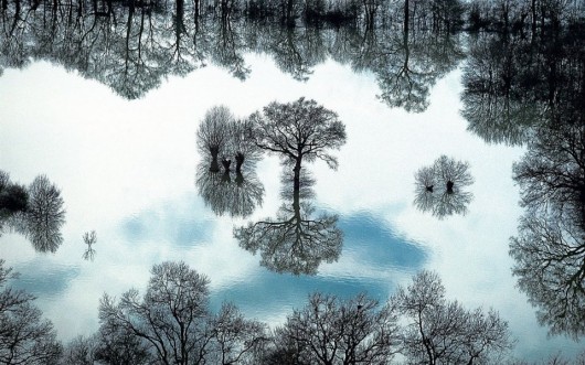 Yann Arthus-Bertrand 2