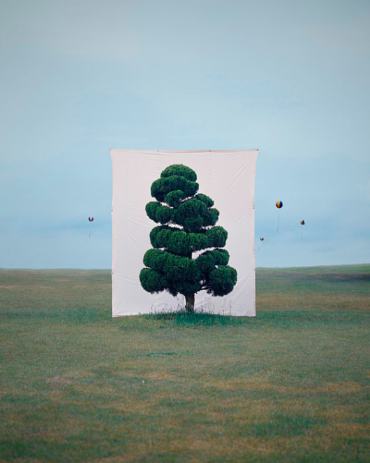 Myoung Ho Lee