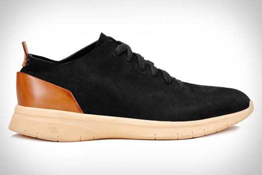 FEIT BIO TRAINER 1