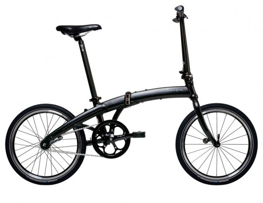 dahon1